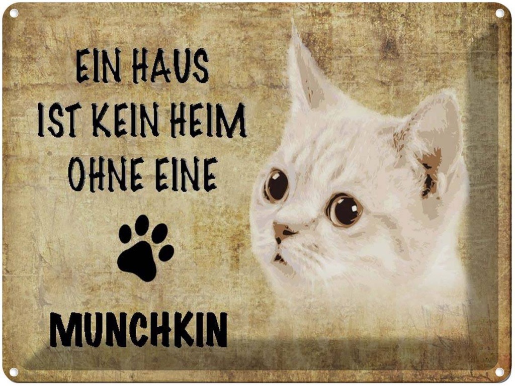 [LA-1790052] Blechschild 30x40 cm Munchkin Katze ohne kein Heim