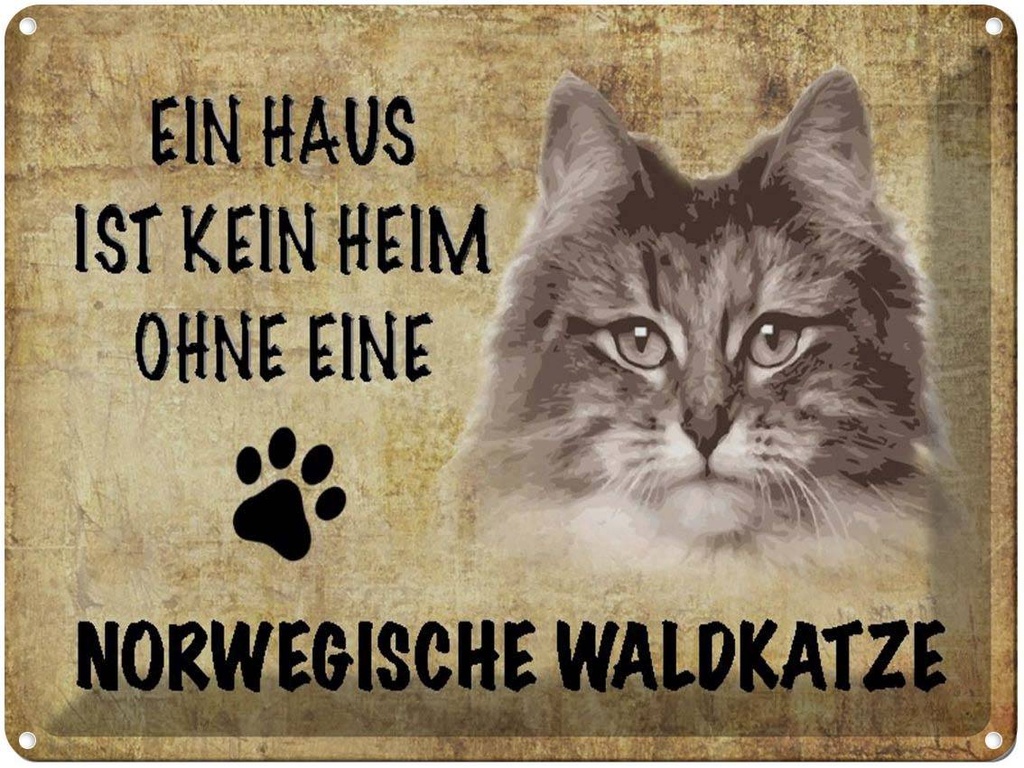 [LA-1790053] Blechschild 30x40 cm Norvegische Waldkatze Katze