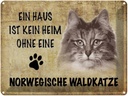 Blechschild 30x40 cm Norvegische Waldkatze Katze