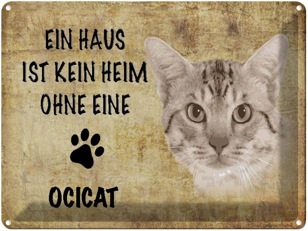[LA-1790054] Blechschild 30x40 cm Ocicat Katze ohne kein Heim
