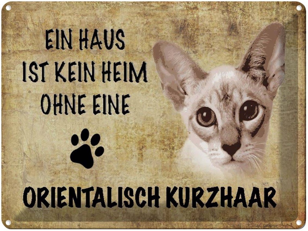 [LA-1790055] Blechschild 30x40 cm orientalisch Kurzhaar Katze