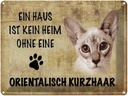 Blechschild 30x40 cm orientalisch Kurzhaar Katze