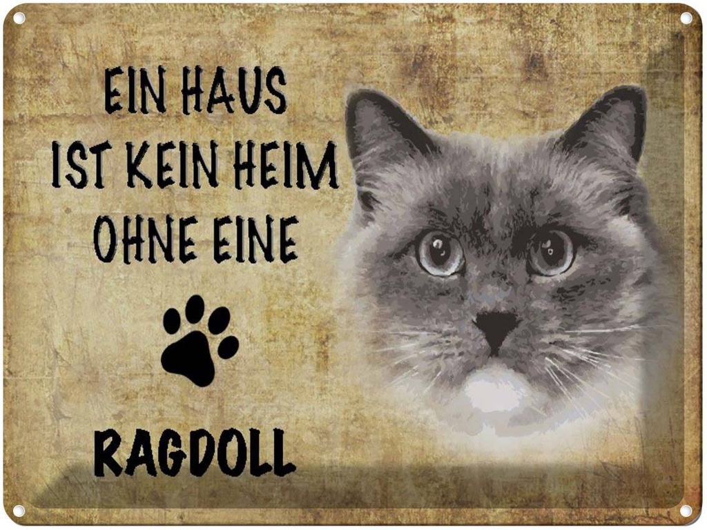 [LA-1790056] Blechschild 30x40 cm Ragdoll Katze ohne kein Heim