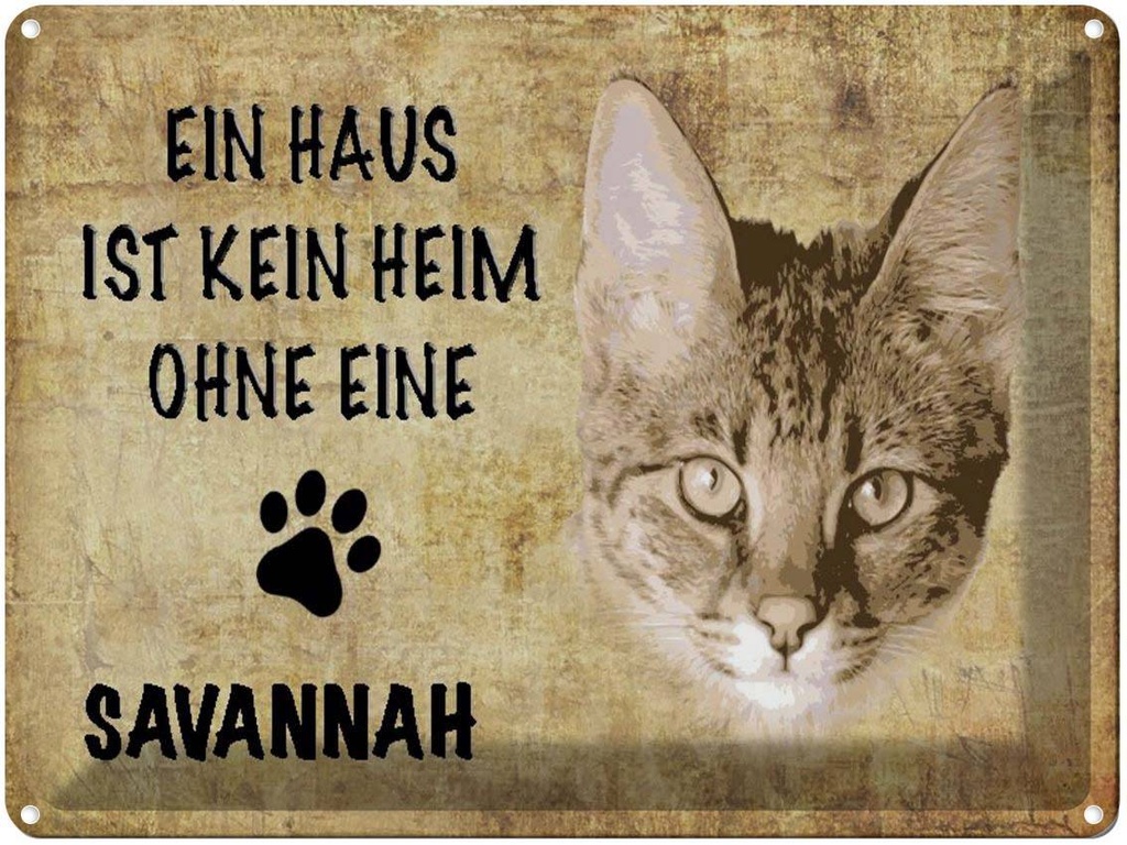 [LA-1790058] Blechschild 30x40 cm Savannah Katze ohne kein Heim