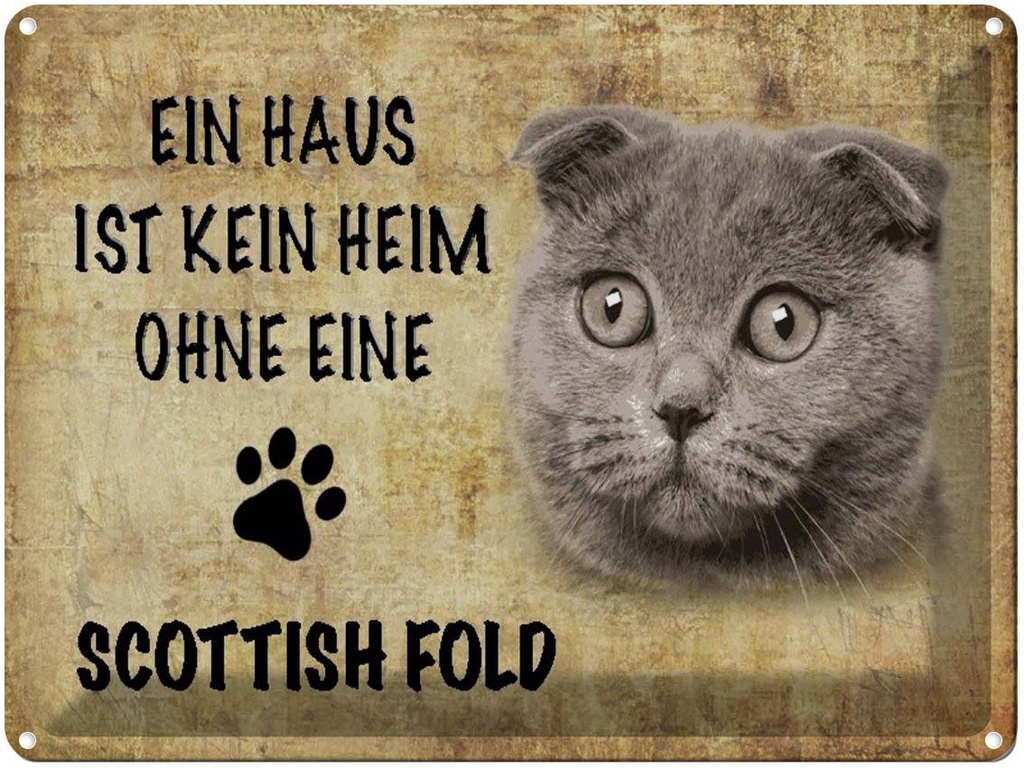 [LA-1790059] Blechschild 30x40 cm Scottish Fold Katze