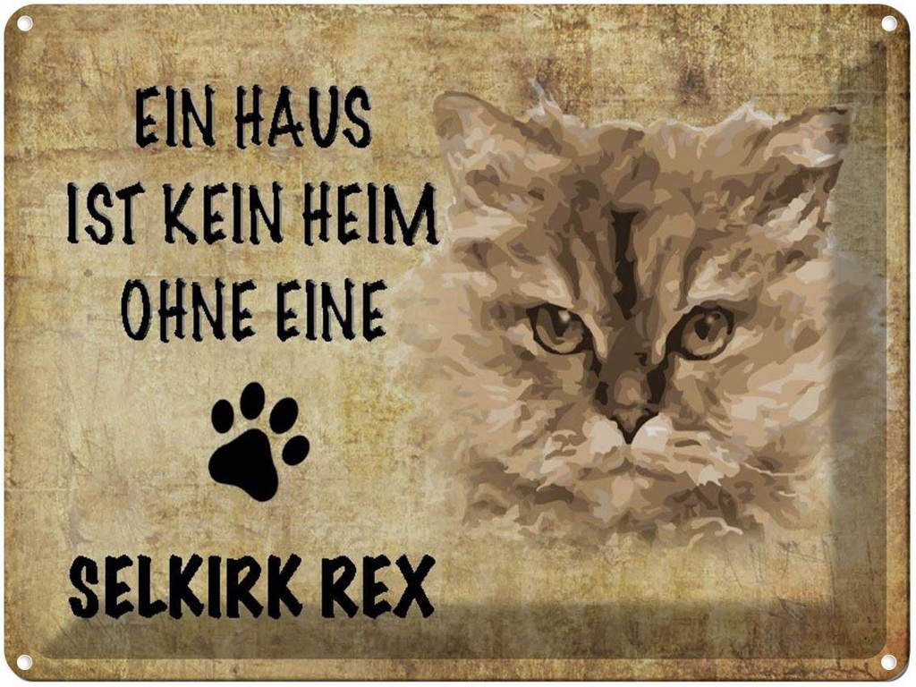 [LA-1790060] Blechschild 30x40 cm Selkirk Rex Katze ohne kein Heim