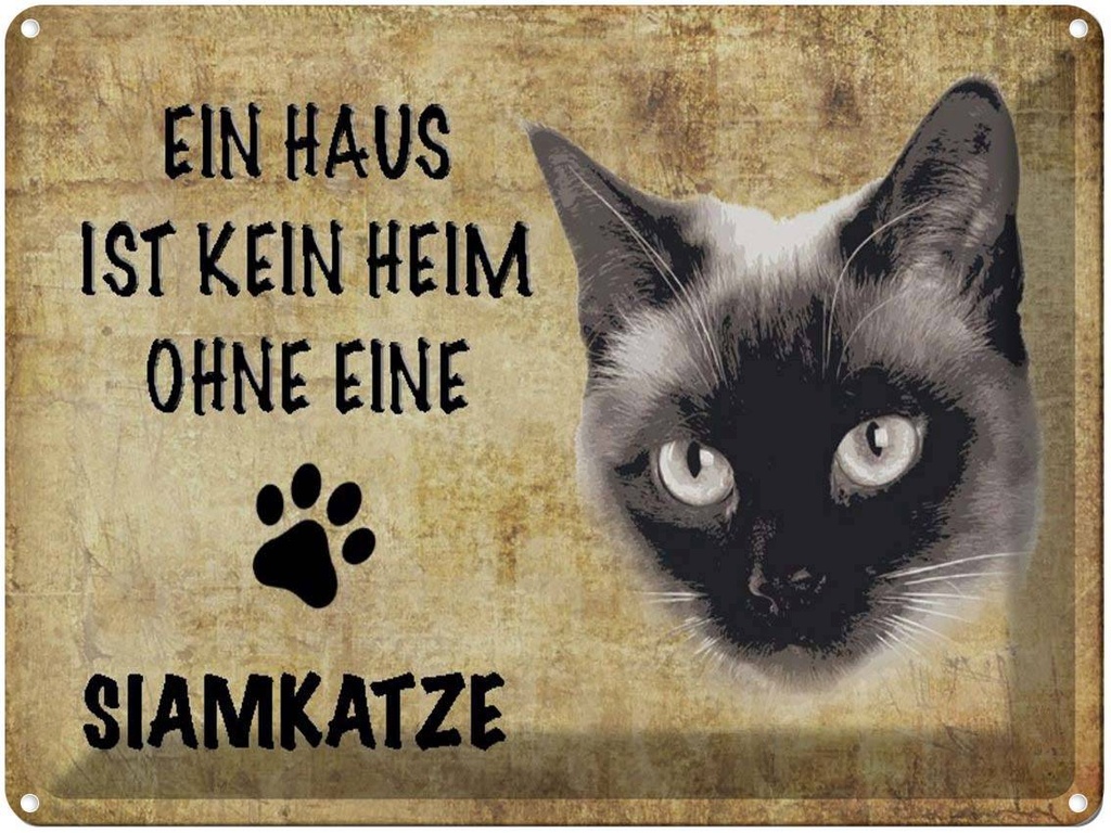 [LA-1790061] Blechschild 30x40 cm Siamkatze Katze ohne kein Heim