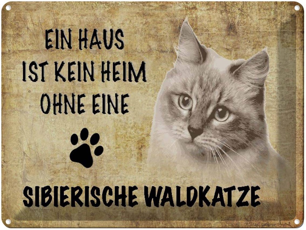[LA-1790062] Blechschild 30x40 cm sibirische Waldkatze Katze