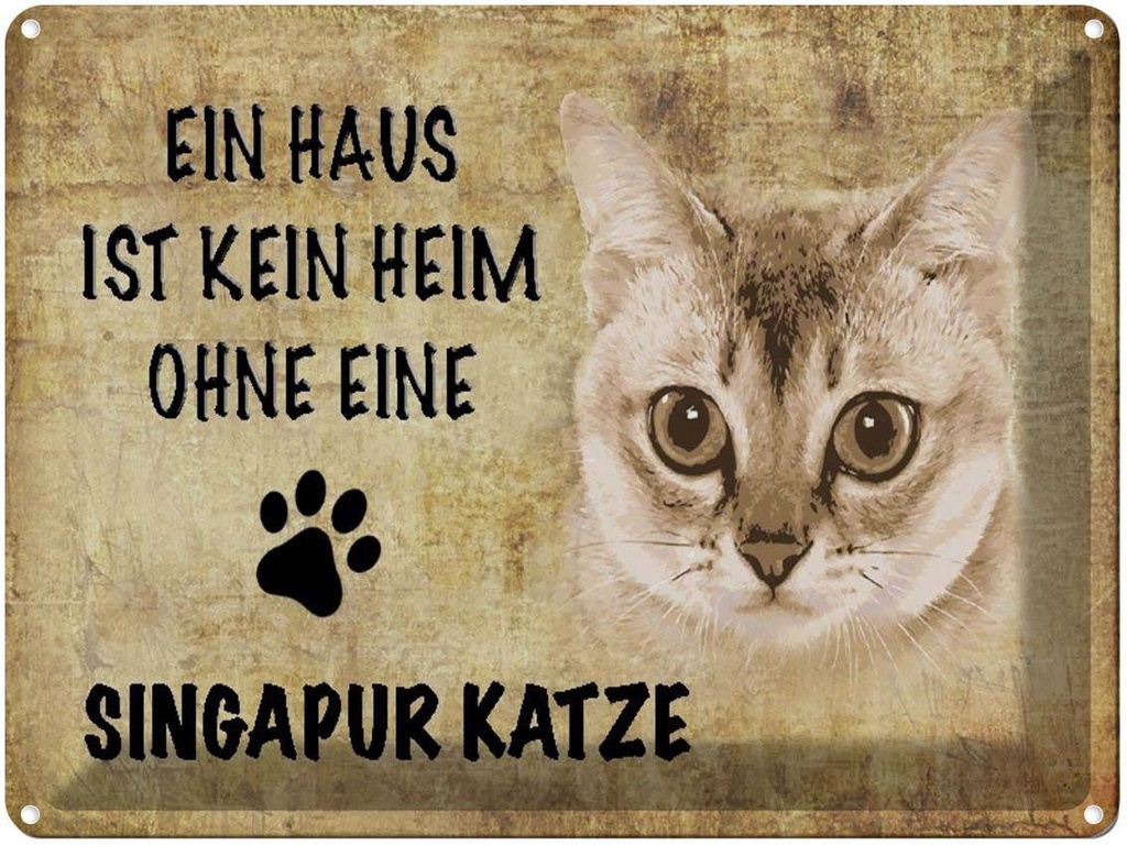 [LA-1790063] Blechschild 30x40 cm Singapur Katze ohne kein Heim