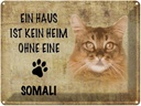 Blechschild 30x40 cm Somali Katze ohne kein Heim