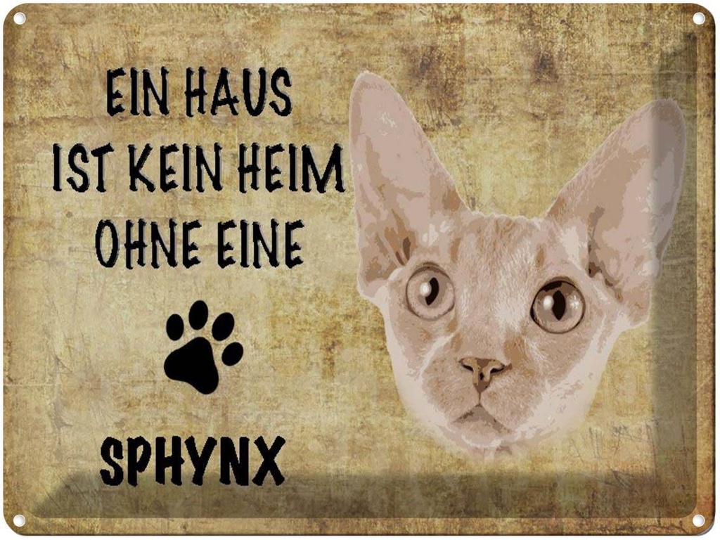 [LA-1790065] Blechschild 30x40 cm Sphynx Katze ohne kein Heim