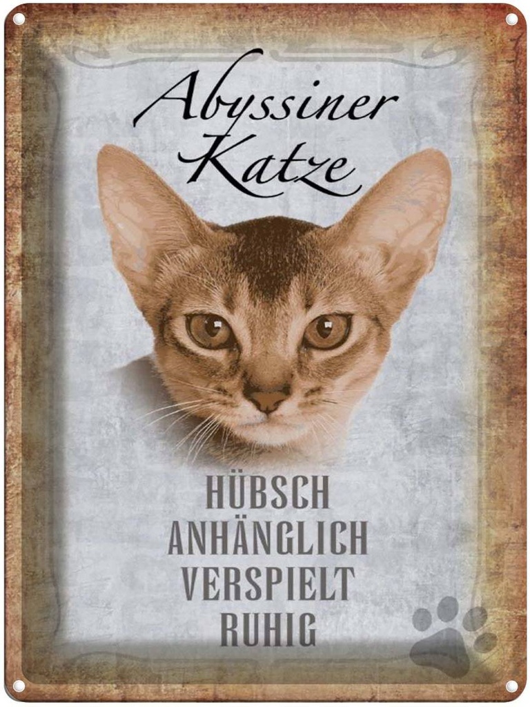[LA-1790070] Blechschild 40x30 cm Abyssiner Katze hübsch verspielt