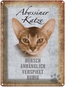 Blechschild 40x30 cm Abyssiner Katze hübsch verspielt