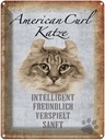 Blechschild 40x30 cm American Curl Katze