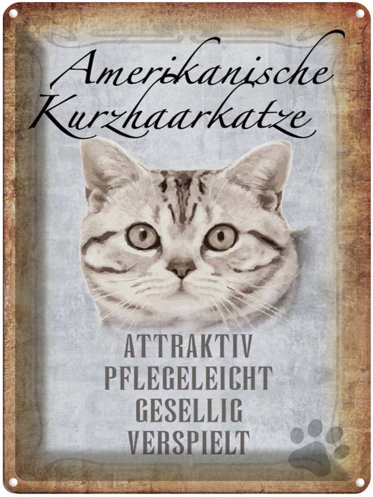 [LA-1790073] Blechschild 40x30 cm Americanische Katze Kurzhaar