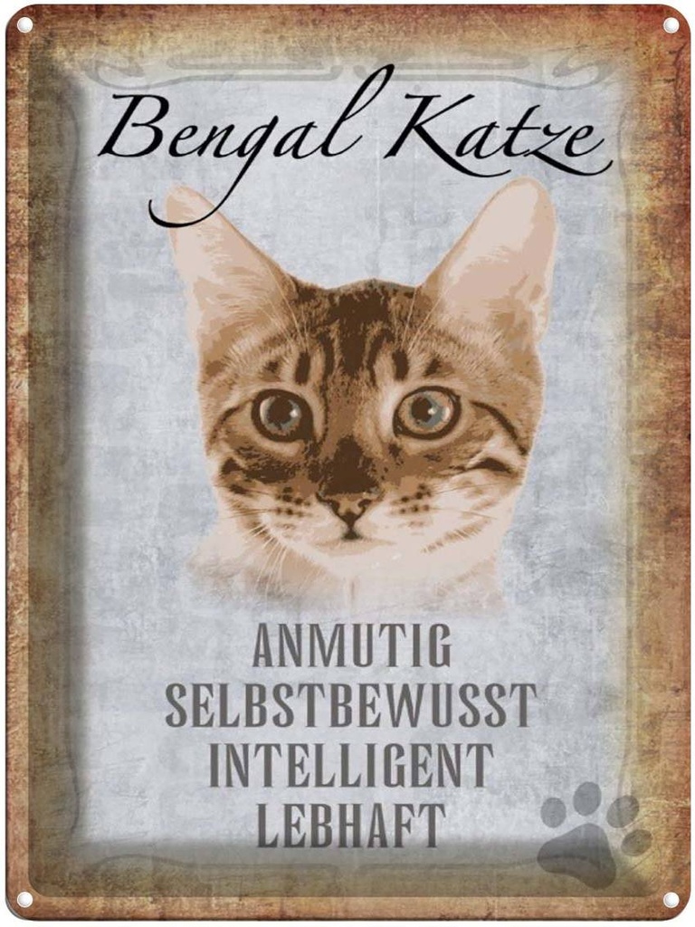[LA-1790075] Blechschild 40x30 cm Bengal Katze