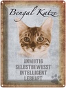 Blechschild 40x30 cm Bengal Katze