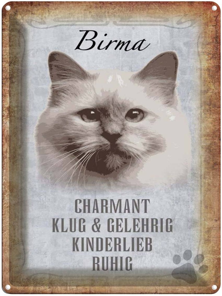 [LA-1790076] Blechschild 40x30 cm Birma Katze klug