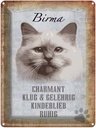 Blechschild 40x30 cm Birma Katze klug
