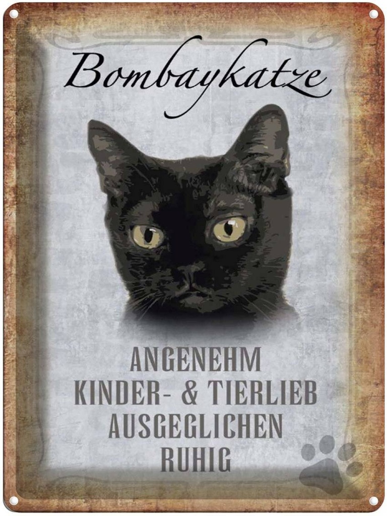 [LA-1790077] Blechschild 40x30 cm Bombaykatze Katze