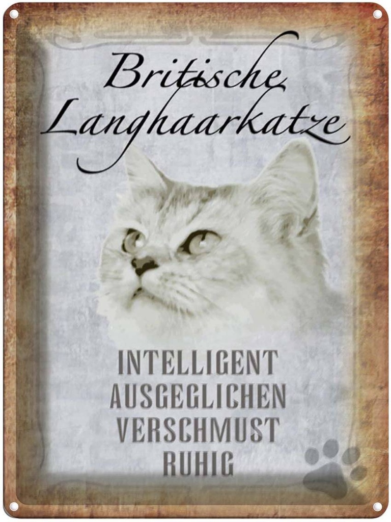 [LA-1790078] Blechschild 40x30 cm britische Langhaarkatze Katze