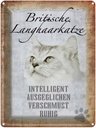 Blechschild 40x30 cm britische Langhaarkatze Katze