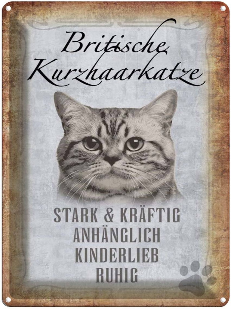 [LA-1790079] Blechschild 40x30 cm britische kurzhaarkatze Katze