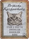 Blechschild 40x30 cm britische kurzhaarkatze Katze