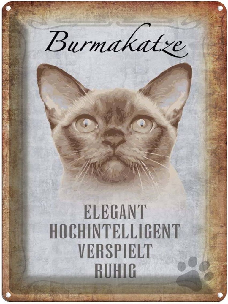 [LA-1790080] Blechschild 40x30 cm Burmakatze Katze