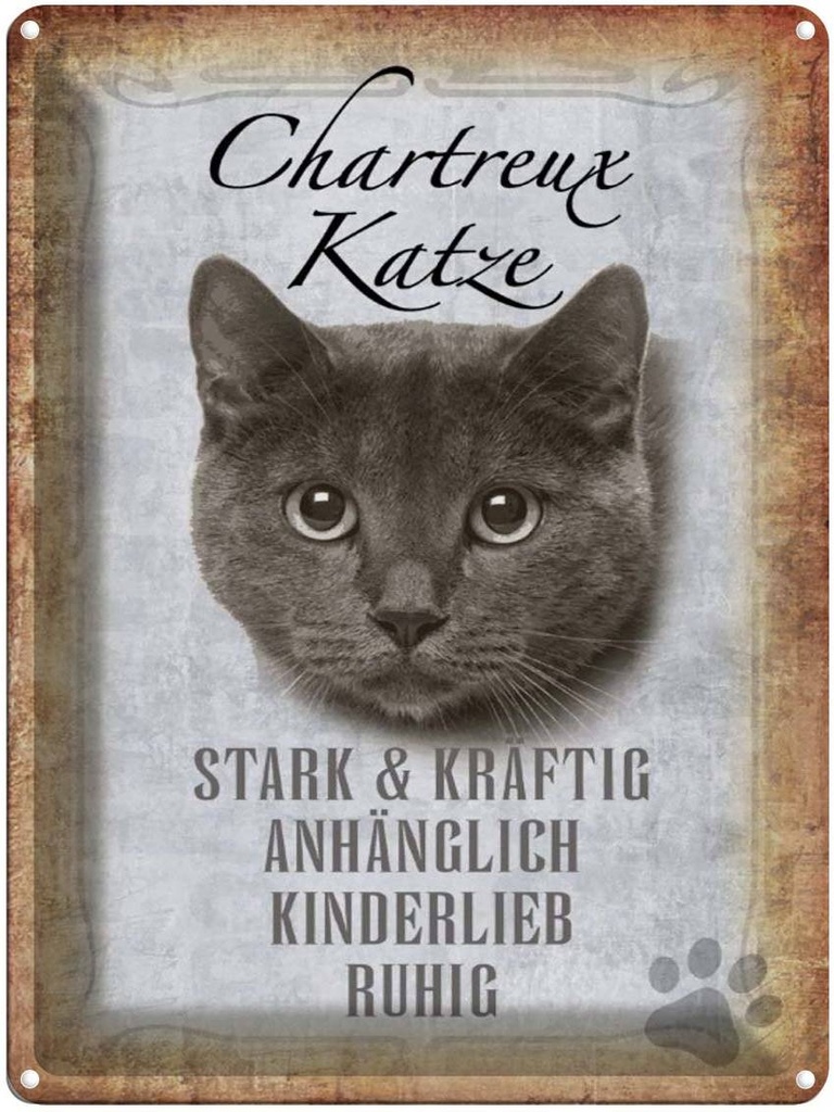 [LA-1790081] Blechschild 40x30 cm Chartreux Katze stark