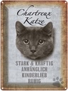 Blechschild 40x30 cm Chartreux Katze stark