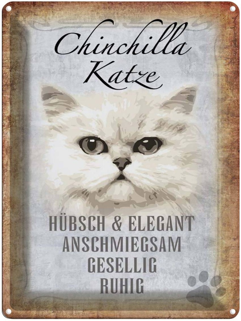 [LA-1790082] Blechschild 40x30 cm Chinchilla Katze hübsch elegant