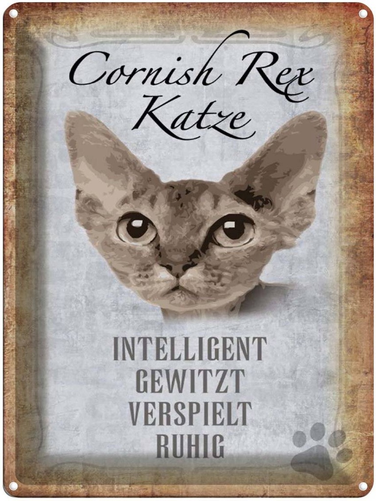 [LA-1790083] Blechschild 40x30 cm Cornish Rex Katze