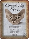 Blechschild 40x30 cm Cornish Rex Katze