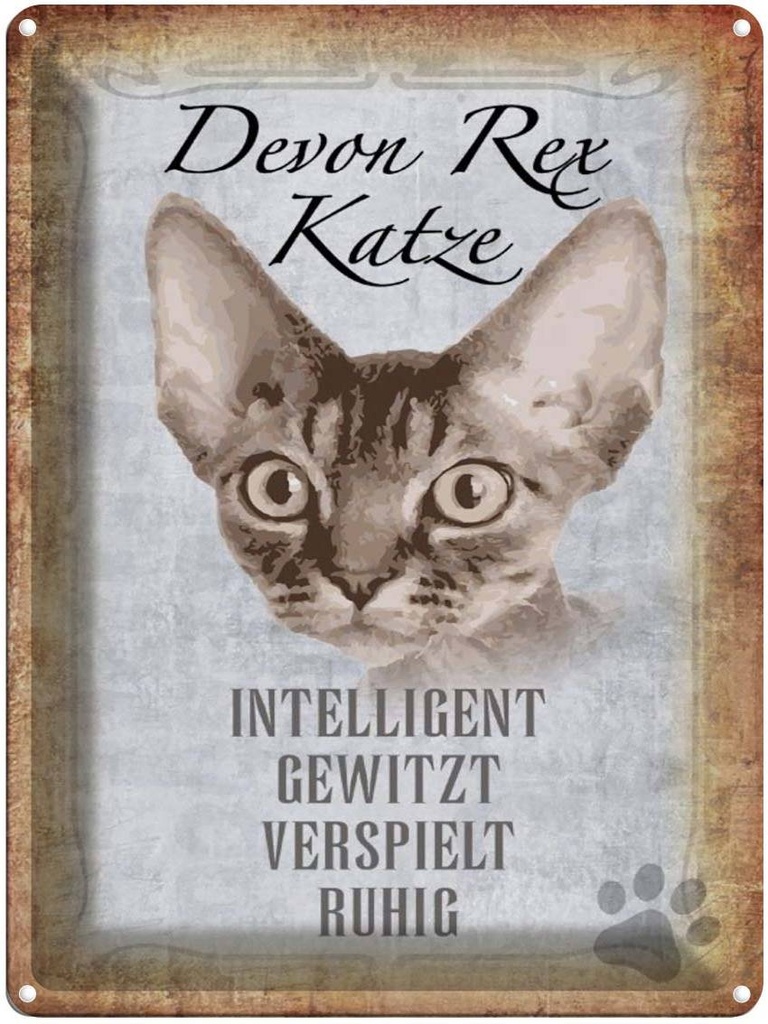 [LA-1790084] Blechschild 40x30 cm Devon Rex Katze intelligent
