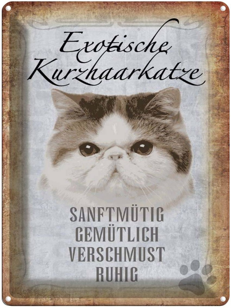 [LA-1790086] Blechschild 40x30 cm exotische Kurzhaarkatze Katze