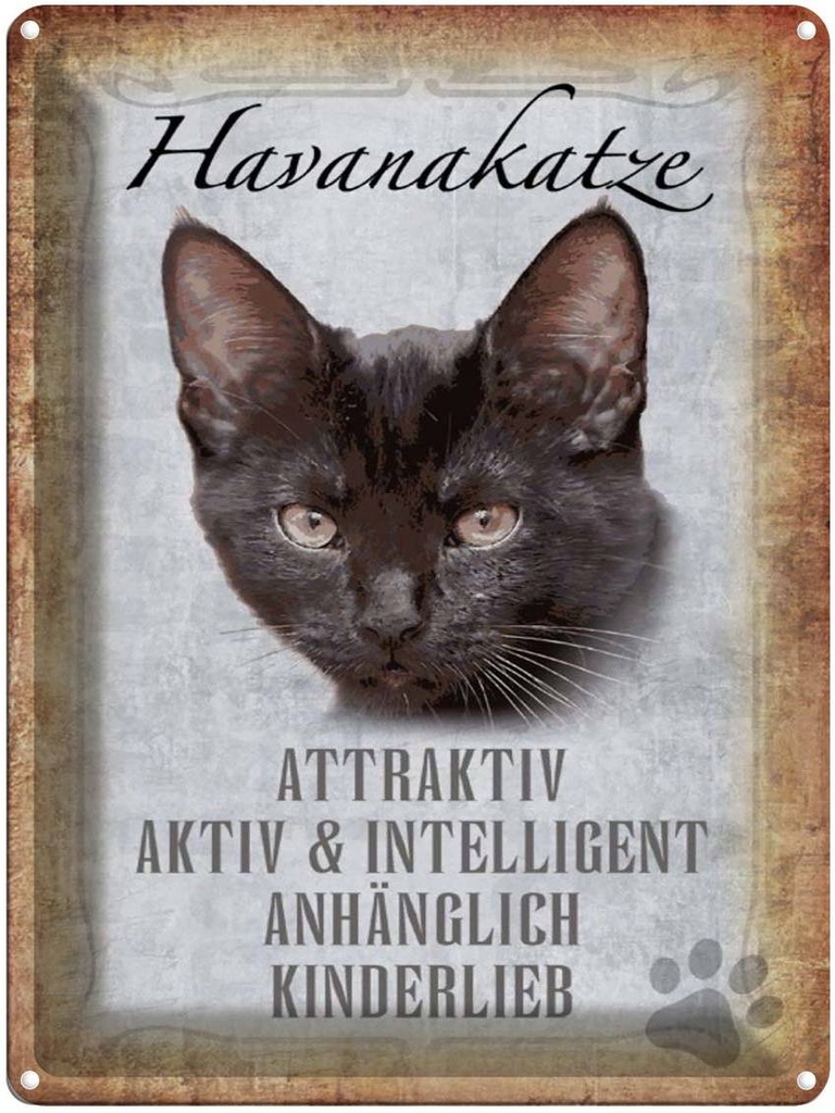 [LA-1790087] Blechschild 40x30 cm Havanakatze kinderlieb Katze