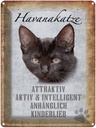 Blechschild 40x30 cm Havanakatze kinderlieb Katze