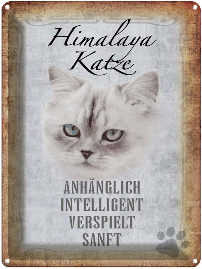 [LA-1790088] Blechschild 40x30 cm Himalaya Katze sanft