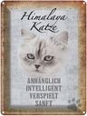 Blechschild 40x30 cm Himalaya Katze sanft