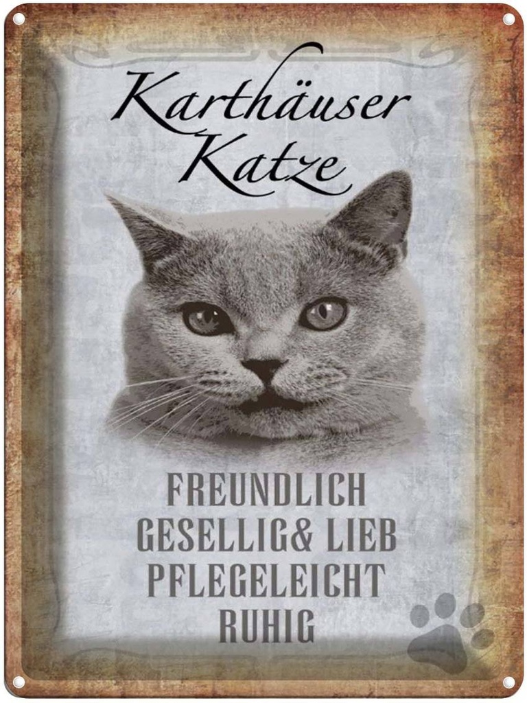 [LA-1790089] Blechschild 40x30 cm Kartäuser Katze lieb