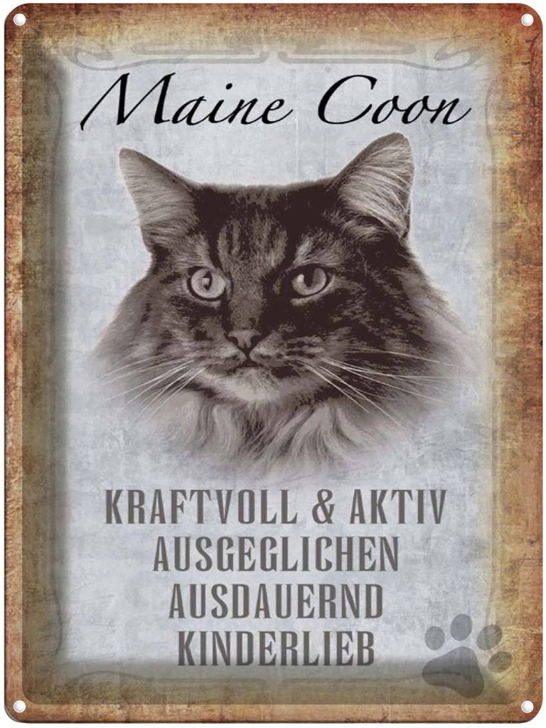 [LA-1790090] Blechschild 40x30 cm Maine Coon Katze aktiv