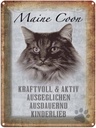 Blechschild 40x30 cm Maine Coon Katze aktiv