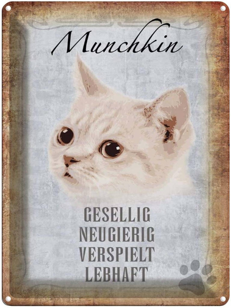 [LA-1790091] Blechschild 40x30 cm Munchkin Katze lebhaft