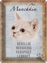 Blechschild 40x30 cm Munchkin Katze lebhaft