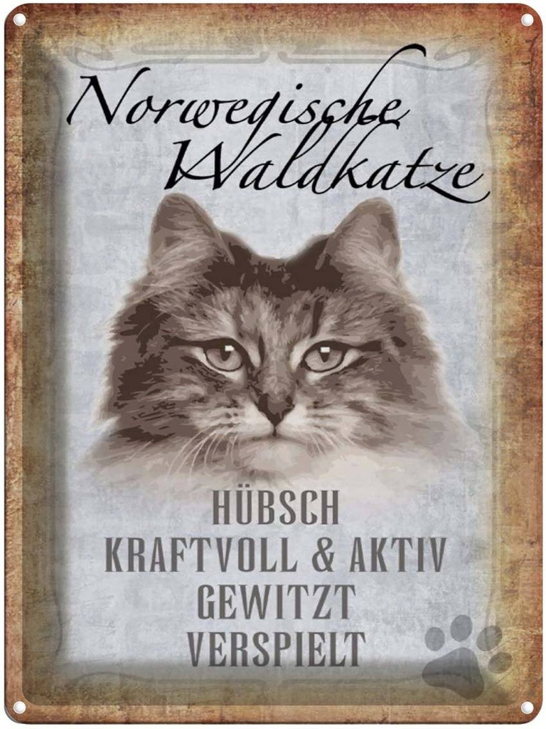 [LA-1790092] Blechschild 40x30 cm norvegische Waldkatze Katze Wanddeco