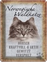 Blechschild 40x30 cm norvegische Waldkatze Katze Wanddeco