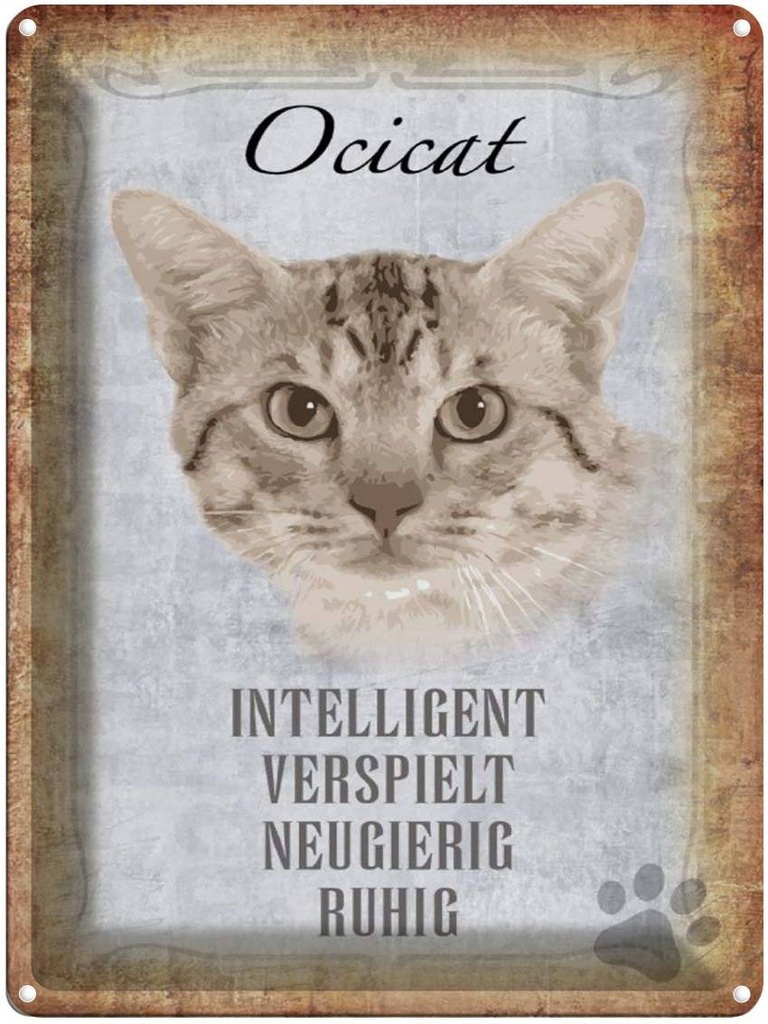 [LA-1790093] Blechschild 40x30 cm Ocicat Katze verspielt