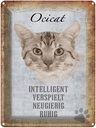 Blechschild 40x30 cm Ocicat Katze verspielt