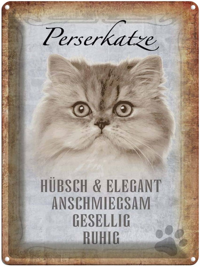 [LA-1790095] Blechschild 40x30 cm Perserkatze Katze hübsch